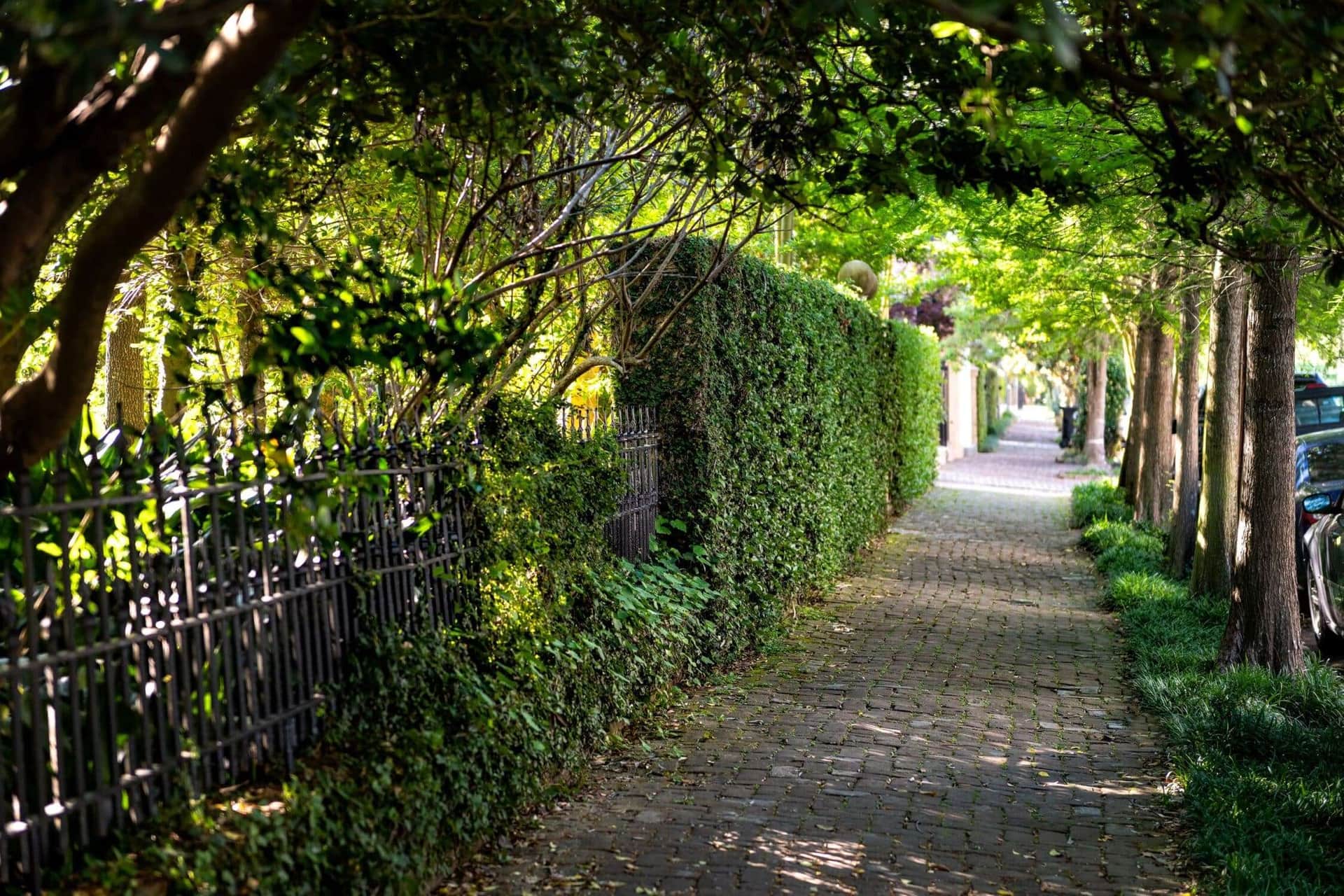 Shaded sidewalk in the New Orleans Garden District